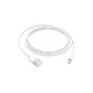 Apple Lightning to USB Cable (1 m)