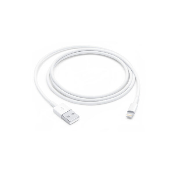 Apple Lightning to USB Cable (1 m)