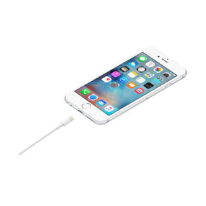 Apple Lightning to USB Cable (1 m)